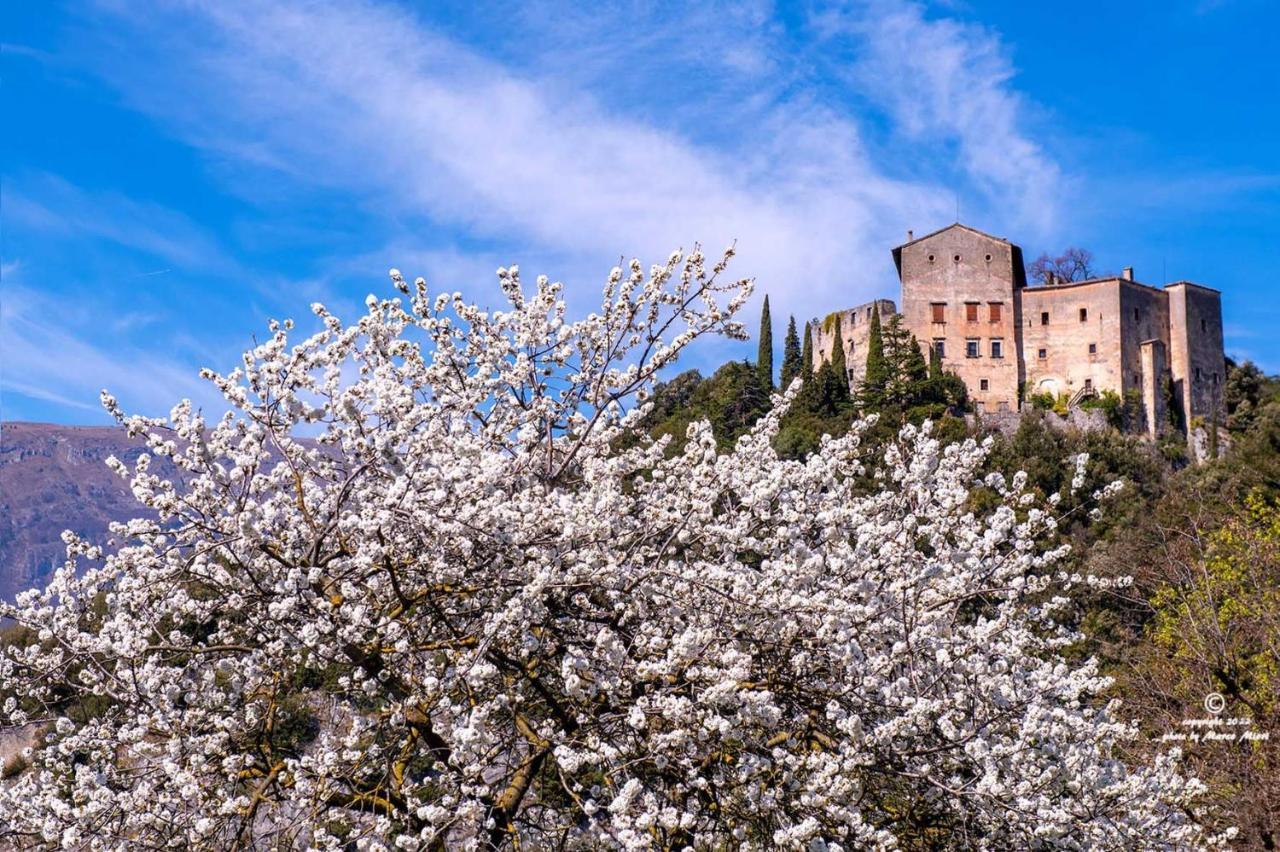 Il Balcone Sul Brenta Apartment Lasino Bagian luar foto